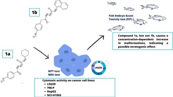 Newly synthesized derivatives with a thiosemicarbazide group reduce the viability of cancer cell lines. Acute toxicity assessment in Zebrafish (Danio rerio) early life stages
