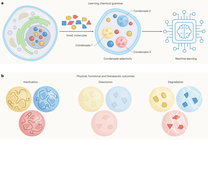 In search of chemical rationales