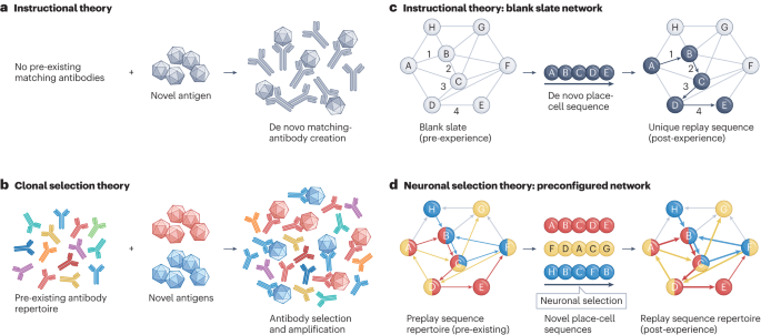 The generative grammar of the brain: a critique of internally generated representations