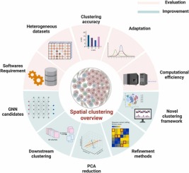 A comprehensive overview of graph neural network-based approaches to clustering for spatial transcriptomics T. Liu et al. Overview of Spatial Transcriptomics’ Spatial Clutering