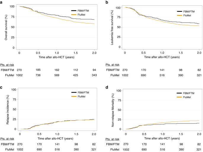 Comparison of fludarabine/melphalan (FluMel) with fludarabine/melphalan/BCNU or thiotepa (FBM/FTM) in patients with AML in first complete remission undergoing allogeneic hematopoietic stem cell transplantation – a registry study on behalf of the EBMT Acute Leukemia Working Party