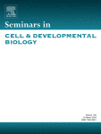 The vagus nerve in cardiovascular physiology and pathophysiology: From evolutionary insights to clinical medicine
