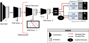 Efficient Adversarial debiasing with Concept Activation Vector—Medical image case-studies