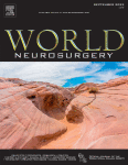Novel Hybrid Technique for Preservation of Frontal Branch of Facial Nerve: Subgaleal Preinterfascial Dissection