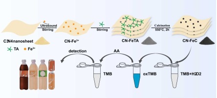Metal-phenolic networks derived CN-FeC hollow nanozyme with robust peroxidase-like activity for total antioxidant capacity detection