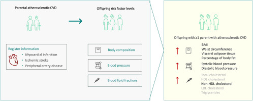 Parental cardiovascular disease and cardiovascular disease risk factors in the offspring: The diet, cancer and health cohorts
