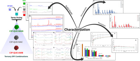 Development and characterization of a spray-dried inhalable ternary combination for the treatment of Pseudomonas aeruginosa biofilm infection in cystic fibrosis