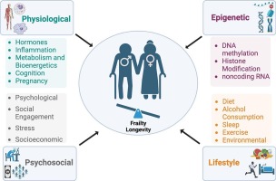 Sex differences in frailty among older adults